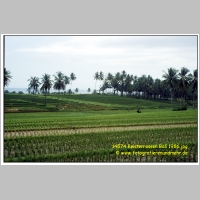 14574 Reisterrassen Bali 1986.jpg